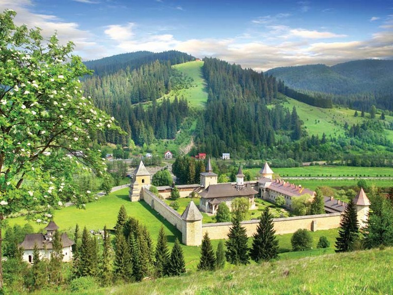 Survol de placere cu avionul si invitati in Suceava