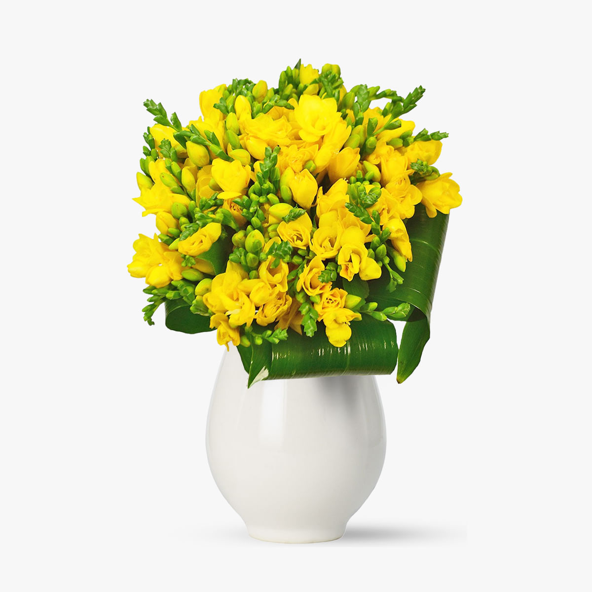 Buchet de 31 frezii galbene